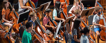 photo orchestra cello section