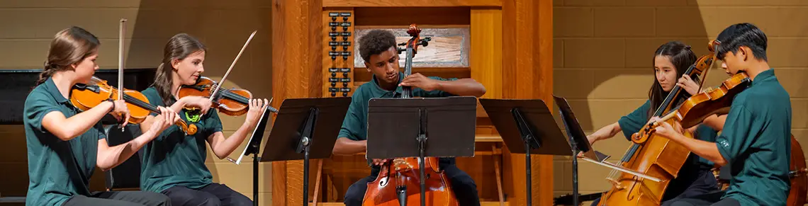 String quintet